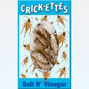 Hotlix Crick-Ettes Salt N' Vinegar 24