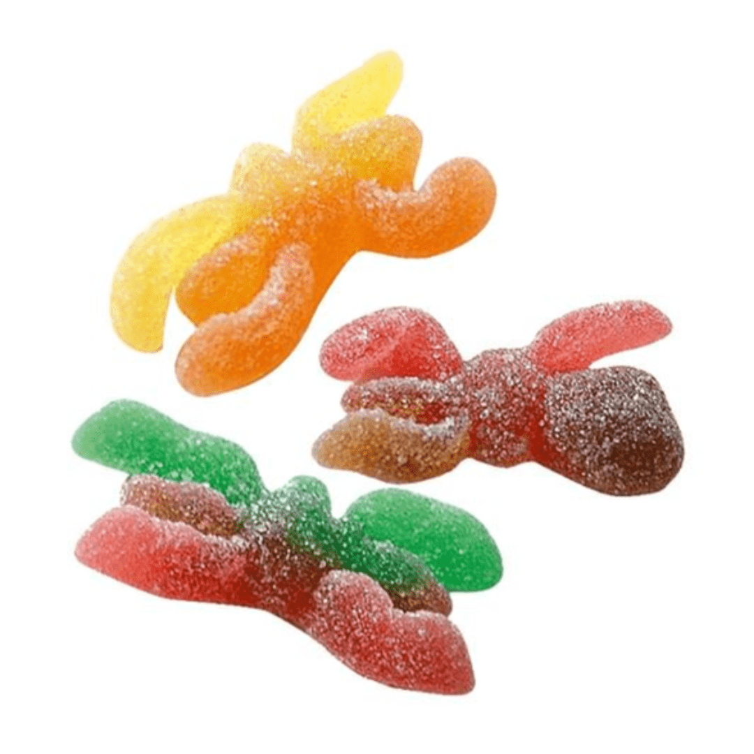 Vidal-Hairy-Spiders-Halloween-4.4lb-min.png