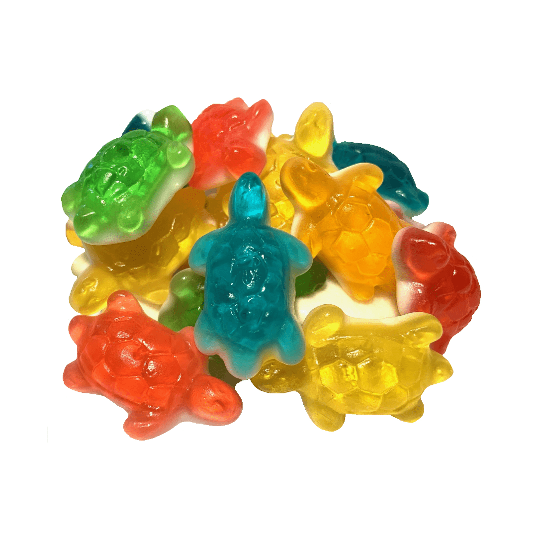 Huer-Turtles-Assorted-1kg-min-1.png