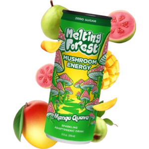 Melting Forest Mango Guava 12x355ml
